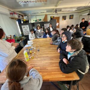 WhatsApp Image 2024-09-23 at 10.24.04 AM (3)