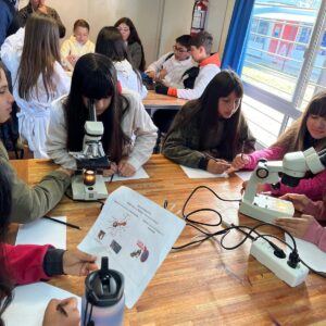 WhatsApp Image 2024-09-23 at 10.24.06 AM (2)