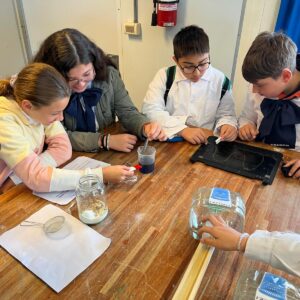 WhatsApp Image 2024-09-23 at 10.24.07 AM (2)