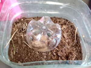 WhatsApp Image 2024-10-24 at 11.05.38 AM