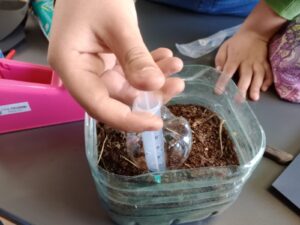 WhatsApp Image 2024-10-24 at 11.05.40 AM (1)