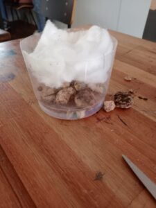 WhatsApp Image 2024-10-24 at 11.05.41 AM