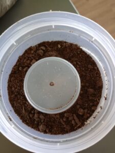 WhatsApp Image 2024-10-24 at 11.05.43 AM (1)