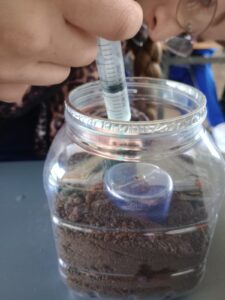 WhatsApp Image 2024-10-24 at 11.05.44 AM (1)