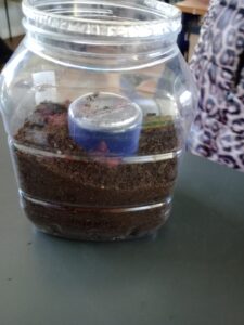 WhatsApp Image 2024-10-24 at 11.05.44 AM (2)